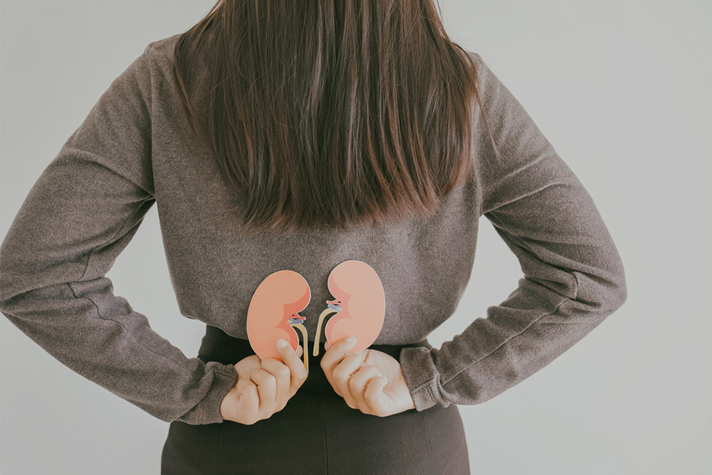 The Gut-Kidney Connection: 3 Simple Habits for Internal Health