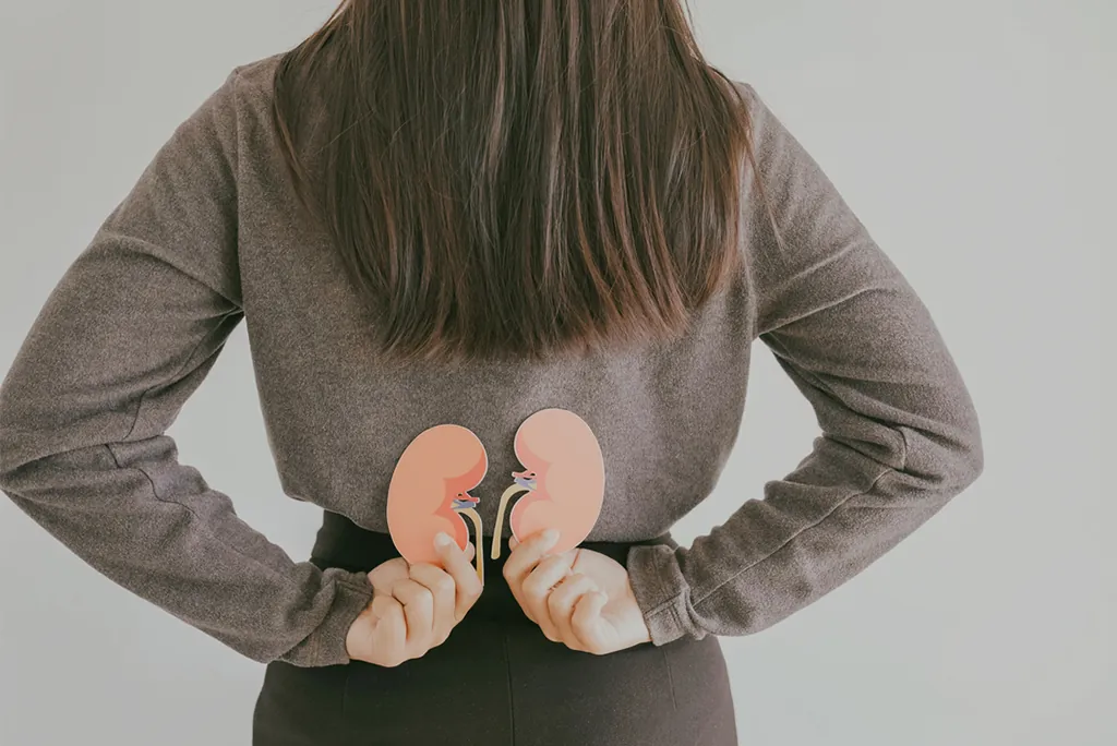 The Gut-Kidney Connection: 3 Simple Habits for Internal Health